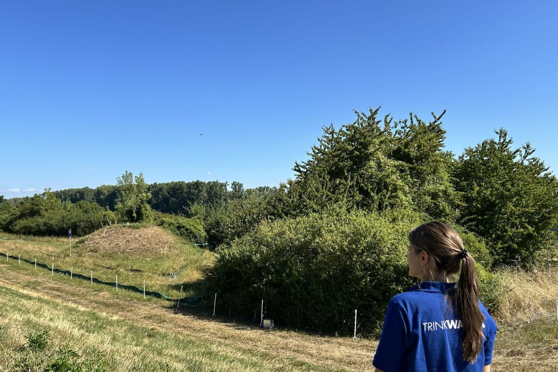 Junge Frau blickt über grüne Landschaft.